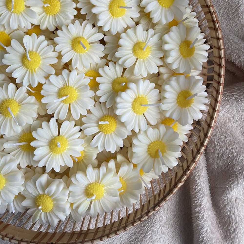 شمع دست ساز بابونه - بسته 12 عددی